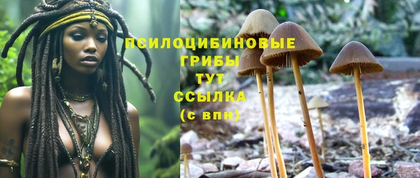 ешки Балахна