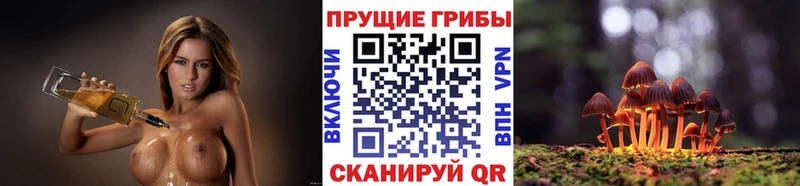 цена   Берёзовский  Галлюциногенные грибы MAGIC MUSHROOMS 